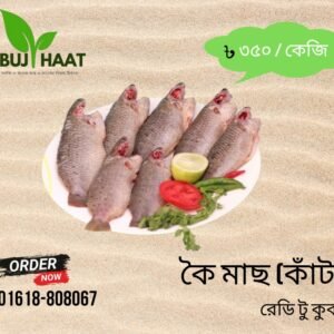 🐟 কৈ মাছ