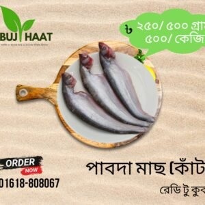 🐟 পাবদা মাছ